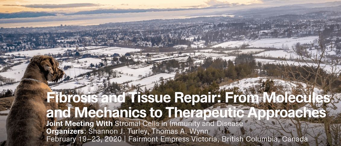 Fibrosis and Tissue Repair: From Molecules and Mechanics to Therapeutic Approaches – February 19-23, 2020 | Victoria, BC, Canada